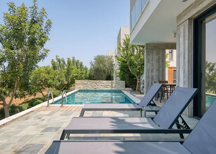 Avalon 1 14 פאפוס